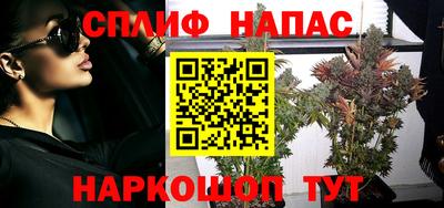 сатива Кумертау